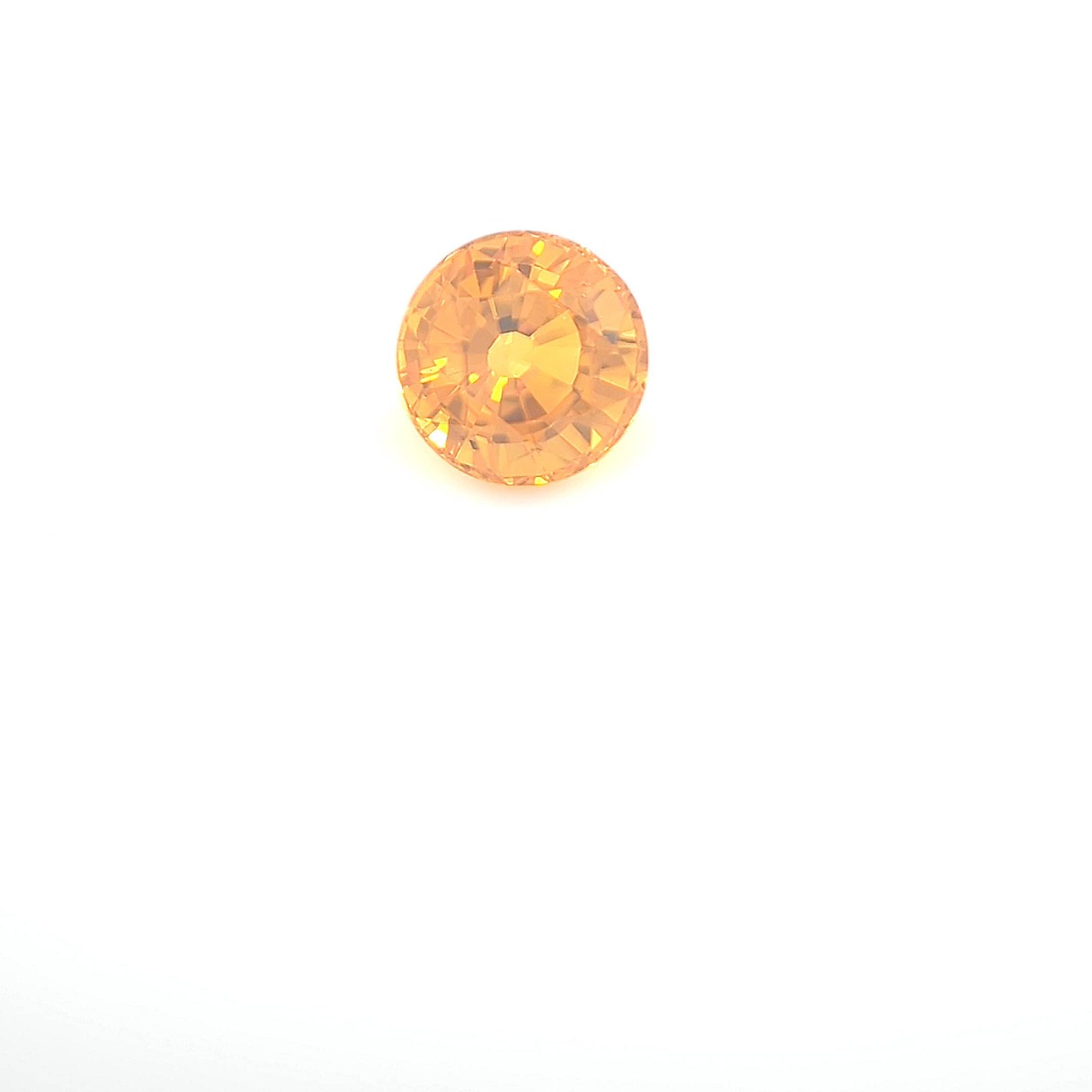 orange round 1__2024-03-11-13-32-46.jpg