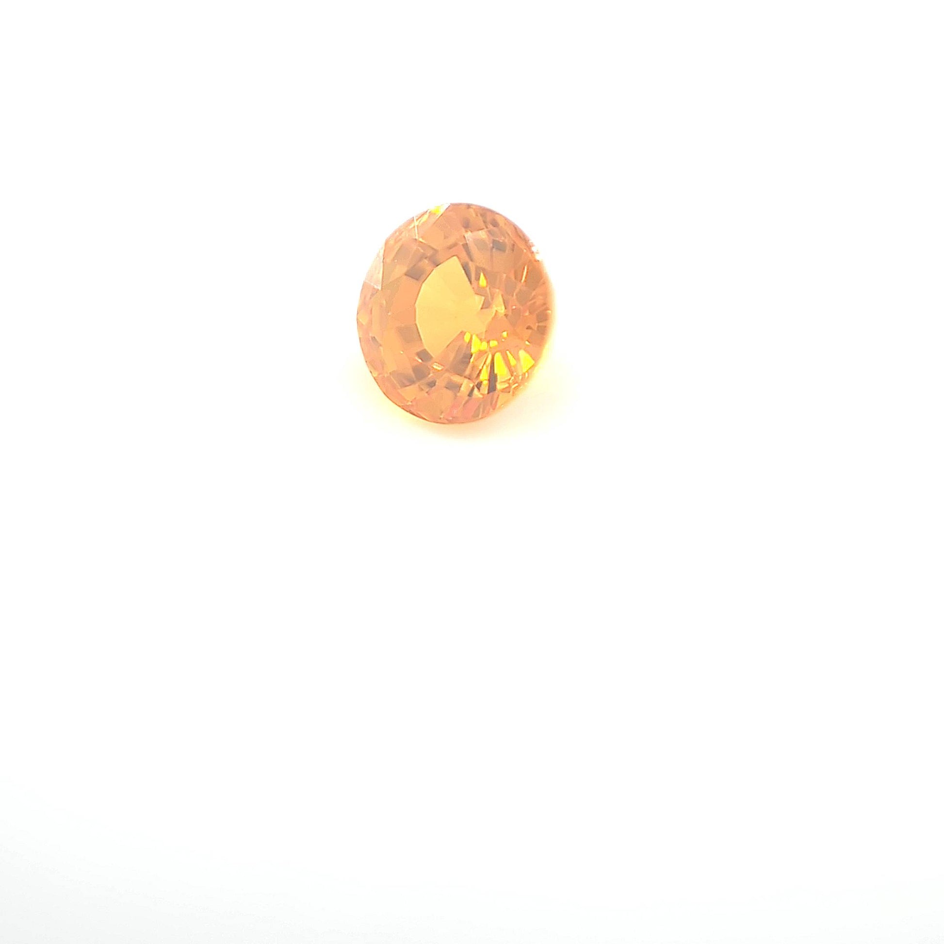 orange round 1__2024-03-11-13-33-18.jpg