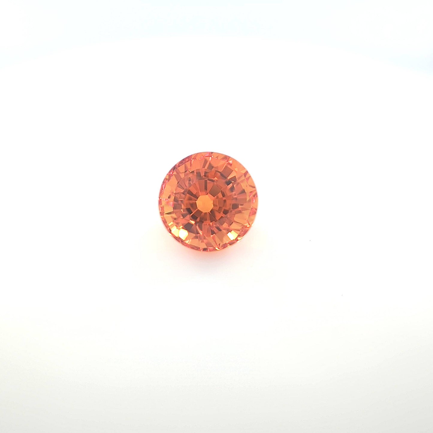 orange round 3 __2024-03-14-12-13-02.jpg